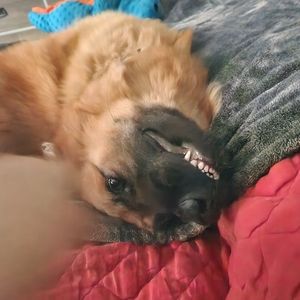 Meet your Posher, Hayley